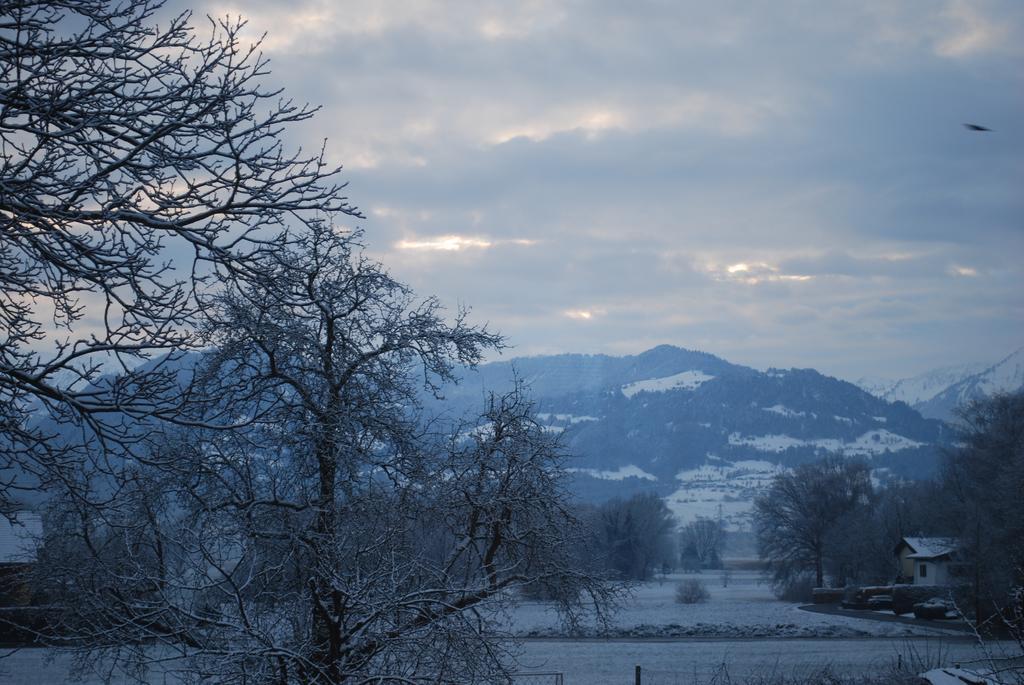 Ferienwohnung Rheintal Feldkirch Buitenkant foto